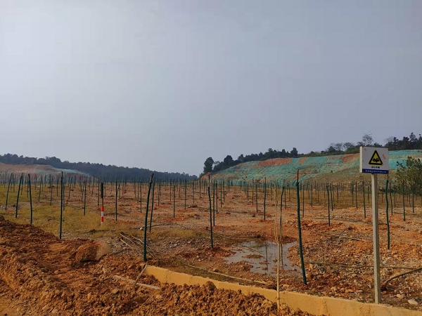 澧縣土地資源,澧縣公共基礎設施,澧縣工商業(yè)信息咨詢,澧縣澧州實業(yè)發(fā)展有限公司